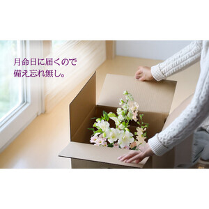 675.【お供え花の定期便12ヶ月】お仏壇用生花（一束）を毎月月命日にお届けします。