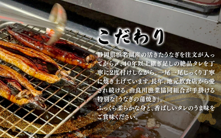 ＜凍らさず美味しさそのまま！〆たて・焼きたてを冷”蔵”で発送＞地元飲食店に愛される美味さにこだわった 国産うなぎの蒲焼き (4尾) ふるさと納税 福知山市 特上 うなぎ 蒲焼 ウナギ 鰻蒲焼き うなぎ蒲焼き 4尾 人気 国産 浜名湖 関西 鰻蒲焼 養殖 冷蔵 ギフト ご褒美 京都 【fc-ZF001-D】【由良川漁業協同組合】