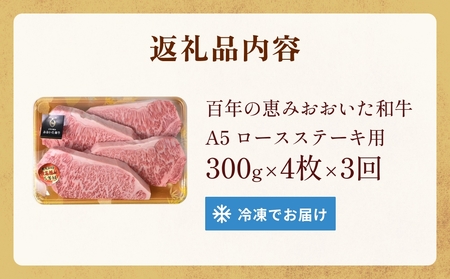 「百年の恵み おおいた和牛 」A5 ロースステーキ用300g × 4枚 × 3ヶ月 定期便 おおいた和牛 ロースステーキ A5等級 黒毛和牛 大分県産 牛肉 高級肉 霜降り 和牛ステーキ 風味豊か 脂質 種雄牛 血統 高評価 冷凍