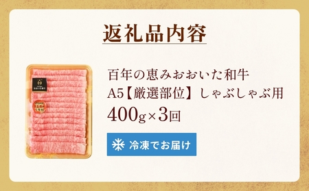 「百年の恵み おおいた和牛 」しゃぶしゃぶ用 400g × 3ヶ月 定期便 おおいた和牛 黒毛和牛 A5 等級 しゃぶしゃぶ用 牛肉 ロース 肩ロース もも 肩 部位 霜降り 血統 風味 脂肪 産地 九州 大分 肉 食材 グルメ 豊後牛