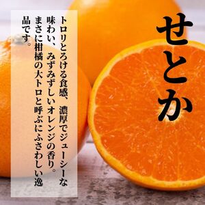  《2027年2月上旬頃から順次発送》【三種のみかん食べ比べ箱】 せとか・はるか・宮内伊予柑 （良品）5kg | 愛媛 みかん 蜜柑 柑橘 果物 くだもの フルーツ お取り寄せ グルメ 期間限定 数量限定 人気 おすすめ 愛媛県 松山市【PT0051】
