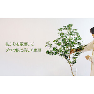 674.【月1回・12ヶ月定期便】旬をかざる枝もの定期便（年12回）＋初回ガラスベース付き