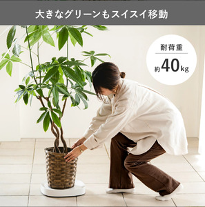 tidy ティディ Plantable（キャスター付植木鉢トレイ）【ブラウン】012EB05N.／台 観葉植物 トレイ プランター 受け皿 受皿 鉢皿 らくらく移動 可動式 軽量 ガーデニング リビング オフィス 玄関 掃除用品 掃除 お掃除 日用品 インテリア 雑貨 おしゃれ