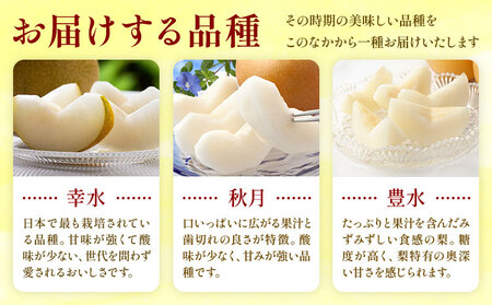【2026年先行予約】おまかせ梨 秀品 約10kg 日本フルーツ《8月上旬-10月上旬頃出荷》熊本県 長洲町 なし 梨 果物 フルーツ デザート ギフト ご贈答