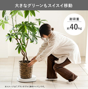 tidy ティディ Plantable L（キャスター付植木鉢トレイ）【ホワイト】015EB13N.／Lサイズ 台 観葉植物 トレイ プランター 受け皿 受皿 鉢皿 らくらく移動 可動式 軽量 ガーデニング リビング オフィス 玄関 掃除用品 掃除 お掃除 日用品 インテリア 雑貨 おしゃれ