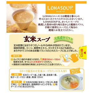 G-151　LOHASOUP 玄米スープ12袋×３個セット