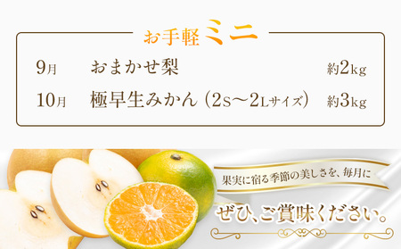 旬の フルーツ 定期便 2ヶ月連続 秀品 ミニ 日本フルーツ株式会社《9月上旬-10月末頃出荷》熊本県 荒尾市 おまかせ 梨 極早生みかん 果物 フルーツ スイーツ デザート ギフト ご贈答