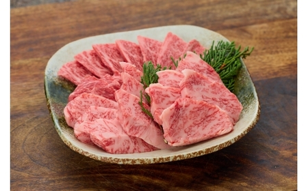 Y551 鳥取和牛 ミスジ焼肉 300g