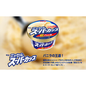 【全3回毎月お届け】人気の明治 エッセル スーパーカップ「超バニラ」定期便