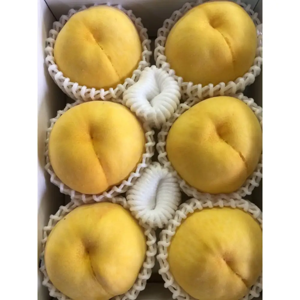 和歌山の黄桃(黄貴妃) 約2kg 【濃厚】 先行予約【9月上旬～中旬発送】