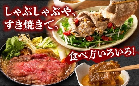 宮崎牛霜降り 肩ロースまたはロース スライス500g 宮崎牛 牛肉 肉 ブランド牛 国産牛 和牛 霜降り 肩ロース ロース スライス すき焼き しゃぶしゃぶ 贈答用 贈答 ギフト 贈り物 グルメ 記念日 誕生日 内祝い お取り寄せ 内閣総理大臣賞 ミヤチク ホームパーティー お祝い 料理 _Tk031-014s