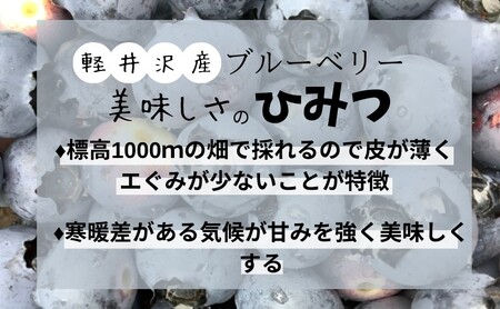 【軽井沢の農家】 遠山農園より直送！ 冷凍ブルーベリー 1.5kg （750g×2パック） 農家直送 軽井沢産 冷凍 ブルーベリー 遠山農園 軽井沢農家 国産
