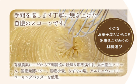 国産発酵バター仕込み濃厚リッチな九州産生クリームスコーン クルミチョコ7個セット | お菓子 菓子 おかし 洋菓子 焼き菓子 イギリス菓子 チョコスコーン クルミ おやつ デザート スイーツ 手作り ティータイム アフタヌーンティー 大分県 中津市 送料無料