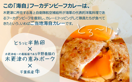 「海自」フーカデンビーフカレー KDA001 / カレー ご当地 ご当地カレー 千葉県産牛 牛 恵みポーク 豚 海自 海上自衛隊 海軍 復刻 千葉県 木更津市 送料無料