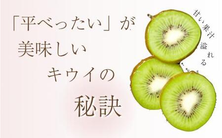 わけあり キウイ 5kg+250g（傷み補償分）扁平果 / 和歌山 家庭用 フルーツ 果物 くだもの ※2026年11月中旬より2027年4月下旬頃順次発送予定 ※北海道・沖縄・離島配送不可 【ikd712A】