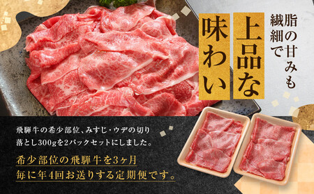 ちょっとリッチな飛騨牛（希少部位）約2.4kg【3月・6月・9月・12月発送】定期便 4回  | みすじ ウデ すき焼き しゃぶしゃぶ  希少部位 600g 和牛 国産牛 冷凍 飛騨高山 飛騨牛のこもり FC107