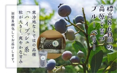 【定期便】治助ファームの北部ハイブッシュブルーベリー「冷凍果実」380g×3回 | ブルーベリー LJ100