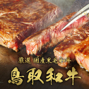 【和牛セレブ（6ヶ月定期便）】鳥取県産牛ヒレステーキ2枚×6か月間