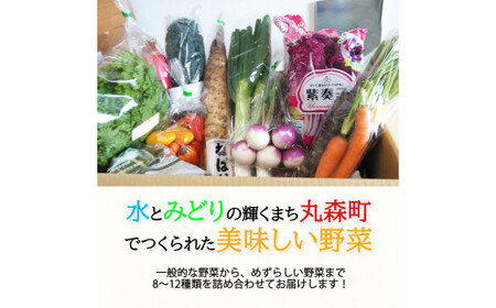 季節のおすすめ野菜おまかせ詰め合わせBOX 8種～12種類 通常サイズ【16101】