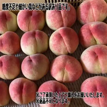 【2026年発送】訳あり桃!3kg前後 ご家庭用 加工用に!【配送不可地域：離島】【1647628】