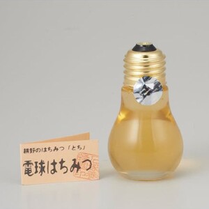 可愛らしい形はギフトにもピッタリ！ 電球はちみつと定番はちみつ2種セット【2110502】