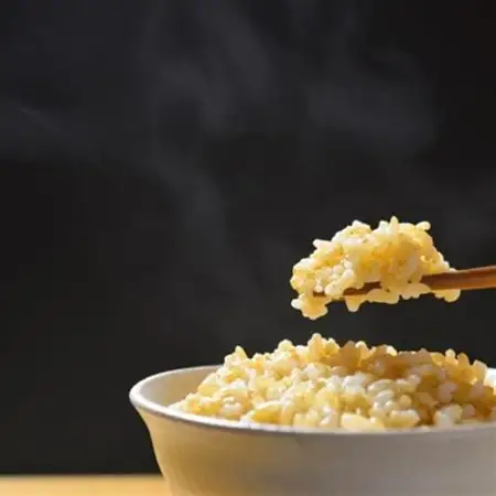 【新米予約!】令和8年産   ヒノヒカリ にこまる 食べ比べ 玄米 10kg(各5kg×2袋)【1647890】