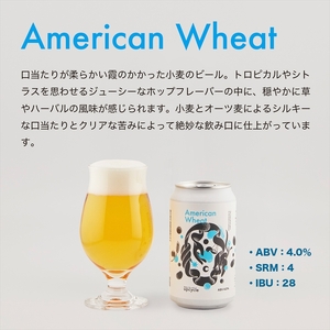 【定期便12カ月】サスティナブル・クラフトビール　飲み比べ3種　6本セット お酒 クラフトビール ギフト おうち時間 グランピング キャンプ プレゼント 地ビール 神奈川県 海老名市 送料無料