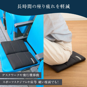 ★TBSテレビ系列「ひるおび」で取り上げられました！★ エアウィーヴ キャリークッションmini