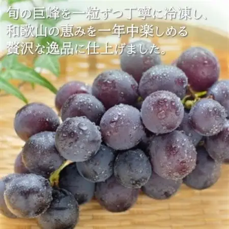 旬の美味しさそのまま!シャリッと、じゅわっと冷凍巨峰(ぶどう)　200g【配送不可地域：離島】【1647694】