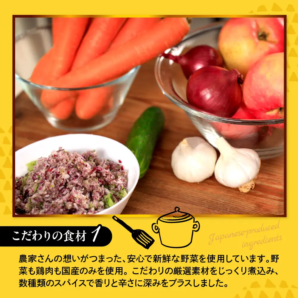 ブルーアガベ　スパイシーチキンカレー詰め合わせセット