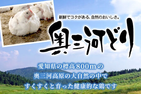 愛知県産 銘柄鶏 奥三河どり 1羽分 約1.5ｋｇ～1.8ｋｇ バラ 個包装 モモ むね ささみ 手羽元 手羽 鶏肉 もも肉 ムネ肉 国産 冷凍 チキン クリスマス パーティー バーベキュー BBQ アウトドア キャンプ  -218