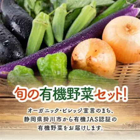 【毎月定期便】しあわせ野菜畑の有機野菜　Mセット　(安心の有機JAS認証　オーガニック野菜)全3回【配送不可地域：離島・北海道・沖縄県・四国・九州】【4066008】