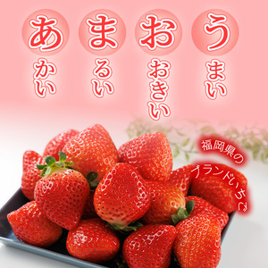 ＜全3回定期便・先行予約受付中！2027年2月上旬以降順次発送予定＞ 博多あまおう (総計約1.5kg) いちご 苺 フルーツ 果物 くだもの 福岡限定 家庭用 冷蔵 定期便 ＜離島配送不可＞【ksg1742】【農産物直売所ほたるの里】