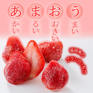 冷凍 博多あまおう (計約1.6kg) いちご イチゴ 苺 あまおう 冷凍いちご 冷凍イチゴ 国産 福岡県 果物 フルーツ アイス シャーベット ジャム スムージー 冷凍フルーツ ＜離島配送不可＞ 【ksg1744】【農産物直売所ほたるの里】