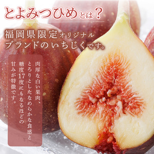 ＜先行予約受付中！2026年8月下旬～2026年10月下旬順次発送予定＞福岡県ブランドいちじく博多 とよみつひめ (計約1.2kg・300g×4P) いちじく イチジク フルーツ 果物 くだもの 福岡限定 ＜離島配送不可＞ 【ksg1750】【農産物直売所ほたるの里】
