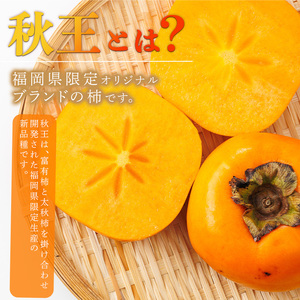 ＜先行予約受付中！2026年10月下旬～11月下旬に順次発送予定＞秋のフルーツの王様・ブランド柿 秋王 (約計1.2kg・3Lサイズ4玉入り) かき カキ フルーツ 果物 くだもの 福岡限定 オリジナルブランド ＜離島配送不可＞ 【ksg1755】【農産物直売所ほたるの里】