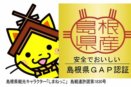 浜田市旭町産ねこのみみキクラゲが入っている簡単便利なレトルト 【157_0003】