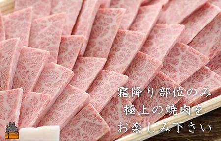 毎回約700頭から厳選された 鹿児島黒毛和牛 霜降り焼肉 800g ( 厳選 プレミアム 高品質 鹿児島黒毛和牛 黒毛和牛 牛肉 徳之島 奄美 鹿児島 ギフト お中元 お歳暮 ステーキ ご馳走 記念日 高島屋 )