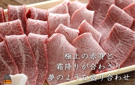 毎回約700頭から厳選された 鹿児島黒毛和牛 希少部位焼肉 800g ( 赤身 ランプ イチボ クリミ 霜降り ザブトン カイノミ ササミ 厳選 プレミアム 高品質 焼肉 鹿児島黒毛和牛 黒毛和牛 牛肉 徳之島 奄美 鹿児島 ギフト お中元 お歳暮 ステーキ ご馳走 記念日 高島屋 )