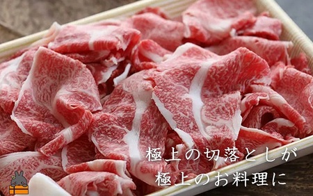 毎回約700頭から厳選された 鹿児島黒毛和牛 切り落とし 600g ( 厳選 プレミアム 高品質 鹿児島黒毛和牛 黒毛和牛 牛肉 万能 料理 徳之島 奄美 鹿児島 ギフト お中元 お歳暮 ステーキ ご馳走 記念日 高島屋 )