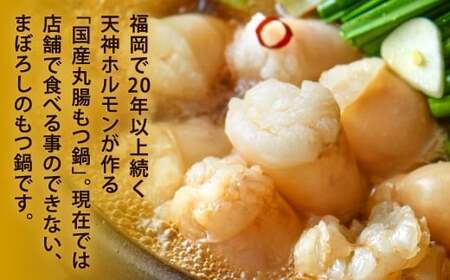 丸腸もつ鍋（丸腸 約200g・スープ 600ml）×2セット（しょうゆ味） もつ鍋 ホルモン 丸腸 スープ 肉 鍋 もつ モツ モツ鍋 国産 北九州市 福岡県