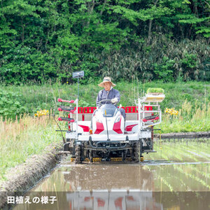 ＜数量限定＞宮城県丸森町産 コシヒカリ 10kg(5kg×2)【1110101】