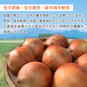 【京都府産】玉ねぎ 5㎏ たまねぎ