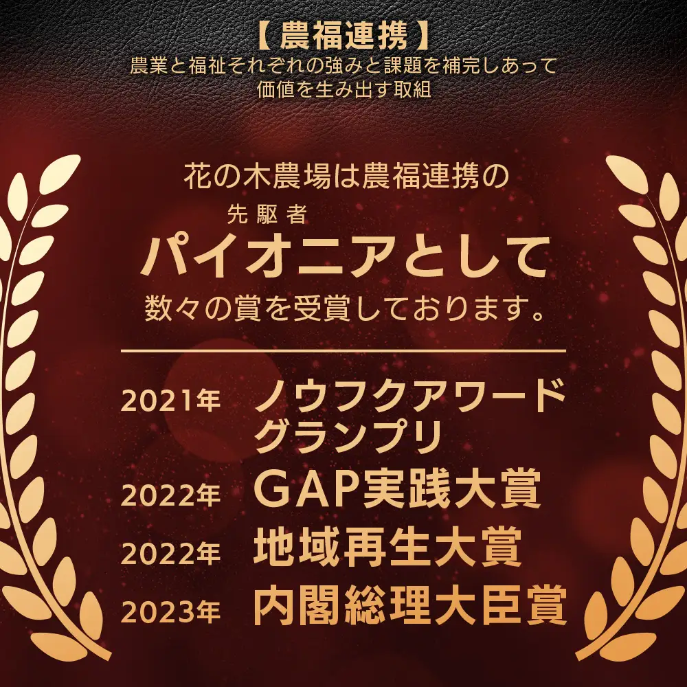 花の木農場 プレミアムセット B 全4種（冷凍） HK-2｜ ハム フランクフルト ソーセージ パンチェッタ 詰め合わせ セット クラフトハム 晩酌 おつまみ 国産 農福連携 鹿児島県 南大隅町 第2花の木ファーム