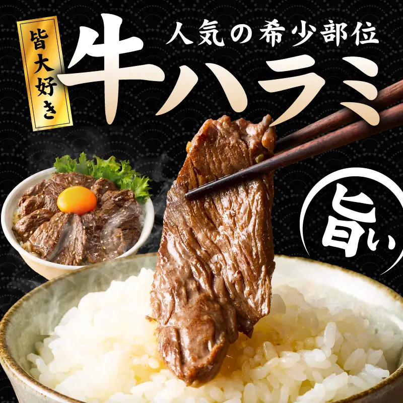 【満足牛ハラミ】甘辛タレ漬け 合計3kg 