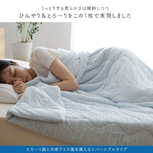 アイスとろーりケット　肌掛け布団　ダブル（ブルー）_アイス とろーりケット 肌掛け 布団 ダブル 180 × 200cm カラー ブルー キルトケット ひんやり 冷感 洗える 夏 熱帯夜 柔らか リバーシブル 掛け心地 レーヨン 吸湿 ポリエステル マイクロ 長繊維 清潔 送料無料 〔Qc170-bl〕