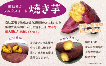 【6ヶ月定期便】芋國屋 流山市産 紅はるか シルクスイート スイーツセット A