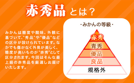 みかん 赤秀品 濃厚完熟温州みかん 約3kg