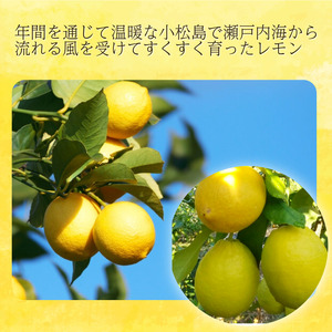 【2026年10月発送】レモン 2kg 秀品  国産 檸檬 ワックス不使用 防腐剤不使用 