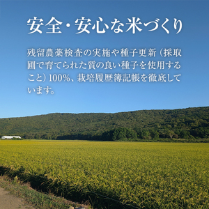 ＜数量限定＞福岡県産米 元気つくし パックご飯 (計48P)お米 おこめ 米 こめ コメ 白米 福岡県産 ブランド米 パック 災害 備蓄 小分け 酸味料無添加 常温 常温保存 【ksg1749】【農産物直売所ほたるの里】